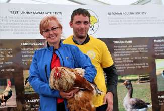 Luige Maaelu Näituslaat 2019