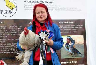 Luige Maaelu Näituslaat 2019