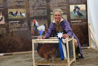 Luige Maaelu Näituslaat 2019