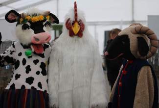 Luige-Maaelu-Näituslaat-2020-103