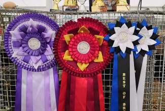 Luige-Maaelu-Näituslaat-2020-111