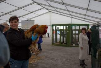 Luige-Maaelu-Näituslaat-2020-19