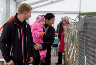 Luige-Maaelu-Näituslaat-2020-20