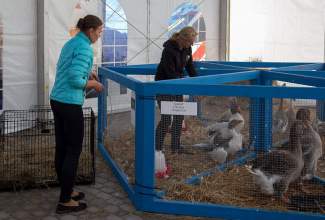 Luige-Maaelu-Näituslaat-2020-25