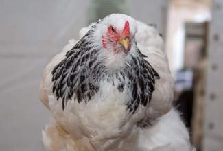 Luige-Maaelu-Näituslaat-2020-37