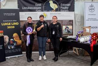 Luige-Maaelu-Näituslaat-2020-40