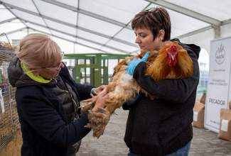 Luige-Maaelu-Näituslaat-2020-41