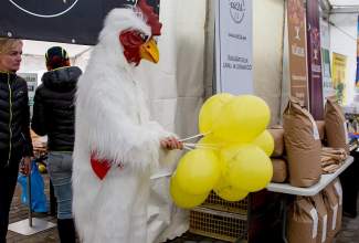 Luige-Maaelu-Näituslaat-2020-42