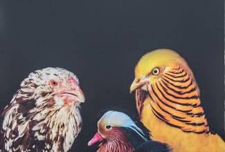 Luige-Maaelu-Näituslaat-2020-51