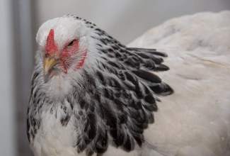 Luige-Maaelu-Näituslaat-2020-53