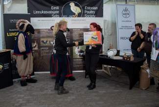 Luige-Maaelu-Näituslaat-2020-55