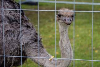 Luige-Maaelu-Näituslaat-2020-58