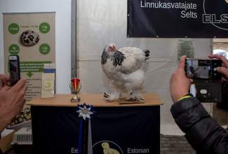 Luige-Maaelu-Näituslaat-2020-62