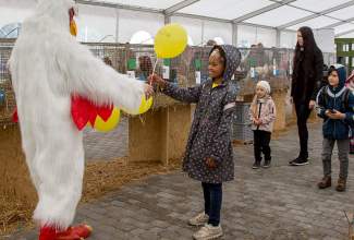 Luige-Maaelu-Näituslaat-2020-74