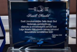 Luige-Maaelu-Näituslaat-2020-8