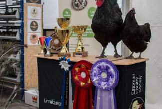 Luige-Maaelu-Näituslaat-2020-82