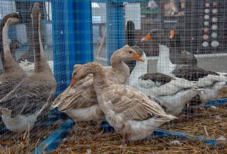 Luige-Maaelu-Näituslaat-2020-85