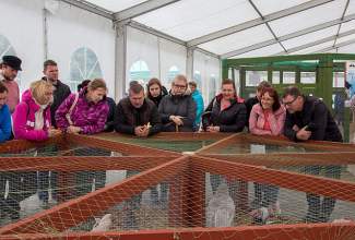 Luige-Maaelu-Näituslaat-2020-99