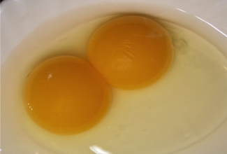 Muna rebud, foto Estfarm