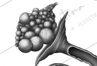 Munaraku viljastumine, foto: https://www.artstation.com/artwork/OyPONJ