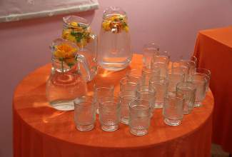 Koolitus-Sobiva-linnuliigi-ja-tõu-valimine-vastavalt-tootmise-eesmärgile-14.08-1