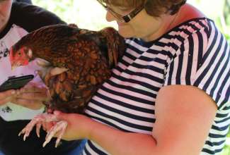 Koolitus-Sobiva-linnuliigi-ja-tõu-valimine-vastavalt-tootmise-eesmärgile-14.08-104