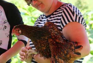 Koolitus-Sobiva-linnuliigi-ja-tõu-valimine-vastavalt-tootmise-eesmärgile-14.08-106