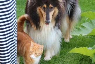 Koolitus-Sobiva-linnuliigi-ja-tõu-valimine-vastavalt-tootmise-eesmärgile-14.08-113