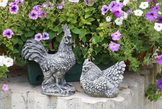 Koolitus-Sobiva-linnuliigi-ja-tõu-valimine-vastavalt-tootmise-eesmärgile-14.08-123