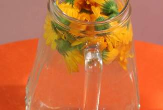 Koolitus-Sobiva-linnuliigi-ja-tõu-valimine-vastavalt-tootmise-eesmärgile-14.08-2