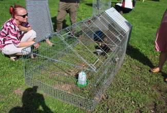 Koolitus-Sobiva-linnuliigi-ja-tõu-valimine-vastavalt-tootmise-eesmärgile-14.08-31