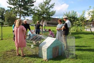 Koolitus-Sobiva-linnuliigi-ja-tõu-valimine-vastavalt-tootmise-eesmärgile-14.08-32