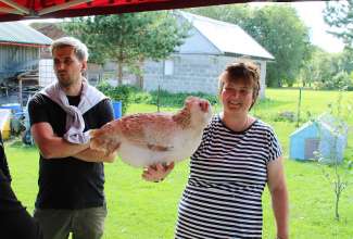 Koolitus-Sobiva-linnuliigi-ja-tõu-valimine-vastavalt-tootmise-eesmärgile-14.08-45