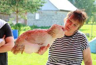 Koolitus-Sobiva-linnuliigi-ja-tõu-valimine-vastavalt-tootmise-eesmärgile-14.08-48