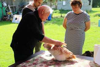 Koolitus-Sobiva-linnuliigi-ja-tõu-valimine-vastavalt-tootmise-eesmärgile-14.08-49