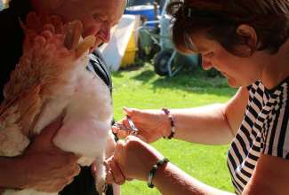 Koolitus-Sobiva-linnuliigi-ja-tõu-valimine-vastavalt-tootmise-eesmärgile-14.08-51