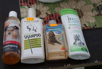 Koolitus-Sobiva-linnuliigi-ja-tõu-valimine-vastavalt-tootmise-eesmärgile-14.08-58