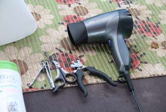 Koolitus-Sobiva-linnuliigi-ja-tõu-valimine-vastavalt-tootmise-eesmärgile-14.08-59