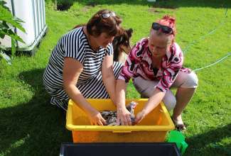 Koolitus-Sobiva-linnuliigi-ja-tõu-valimine-vastavalt-tootmise-eesmärgile-14.08-69