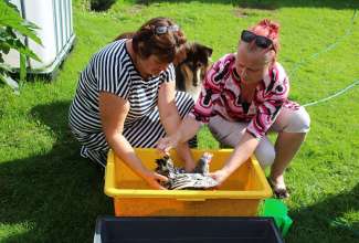 Koolitus-Sobiva-linnuliigi-ja-tõu-valimine-vastavalt-tootmise-eesmärgile-14.08-70