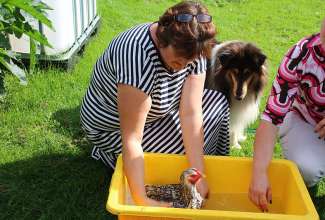 Koolitus-Sobiva-linnuliigi-ja-tõu-valimine-vastavalt-tootmise-eesmärgile-14.08-74