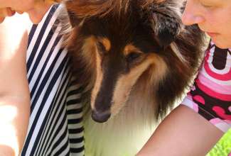 Koolitus-Sobiva-linnuliigi-ja-tõu-valimine-vastavalt-tootmise-eesmärgile-14.08-77