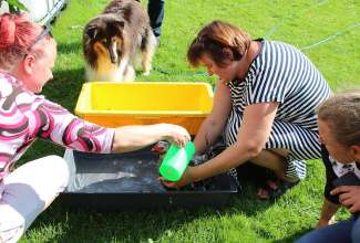 Koolitus-Sobiva-linnuliigi-ja-tõu-valimine-vastavalt-tootmise-eesmärgile-14.08-83