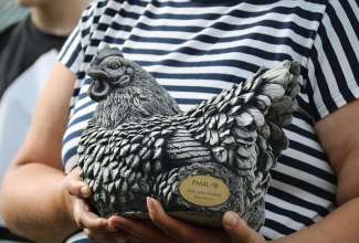 Koolitus-Sobiva-linnuliigi-ja-tõu-valimine-vastavalt-tootmise-eesmärgile-14.08-98