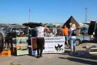 Panevėžyse linnuturg 27.06.2020