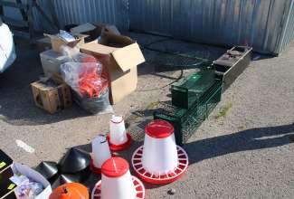 Panevėžyse linnuturg 27.06.2020