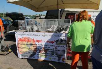 Panevėžyse linnuturg 27.06.2020