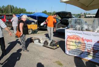 Panevėžyse linnuturg 27.06.2020