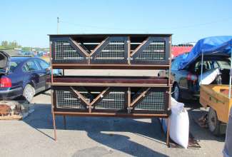 Panevėžyse linnuturg 27.06.2020