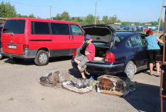 Panevėžyse linnuturg 27.06.2020